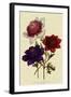 Anemones-null-Framed Giclee Print