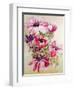 Anemones-Joan Thewsey-Framed Giclee Print