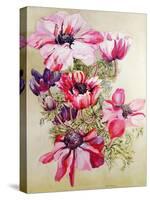 Anemones-Joan Thewsey-Stretched Canvas