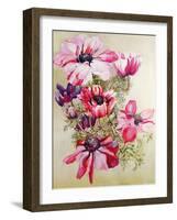 Anemones-Joan Thewsey-Framed Giclee Print