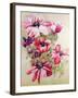 Anemones-Joan Thewsey-Framed Premium Giclee Print