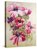 Anemones-Joan Thewsey-Stretched Canvas