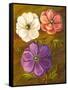 Anemones-Vessela G.-Framed Stretched Canvas