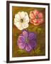 Anemones-Vessela G.-Framed Giclee Print