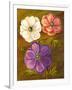 Anemones-Vessela G.-Framed Giclee Print