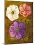 Anemones-Vessela G.-Mounted Giclee Print