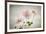 Anemones-Mandy Disher-Framed Photographic Print