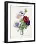 Anenome Simple-Pierre-Joseph Redouté-Framed Giclee Print