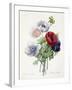 Anenome Simple-Pierre-Joseph Redouté-Framed Giclee Print