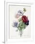 Anenome Simple-Pierre-Joseph Redouté-Framed Giclee Print