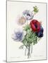 Anenome Simple-Pierre-Joseph Redouté-Mounted Giclee Print