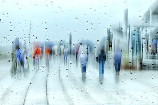 Premium Photographic Print, , large