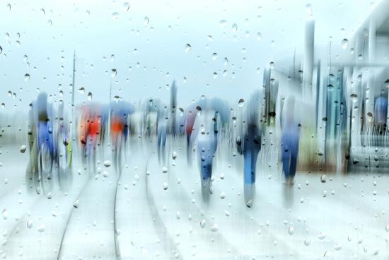 Photographic Print, , large