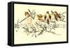 Angel and Bird Chorus on Staff-null-Framed Stretched Canvas