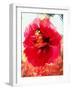 Angel and Poppy-Katherine Fawssett-Framed Giclee Print