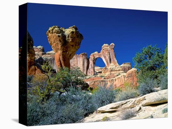 Angel Arch and the Molar in the Salt Creek Valley, Canyonlands National Park, Utah, USA-Bernard Friel-Stretched Canvas