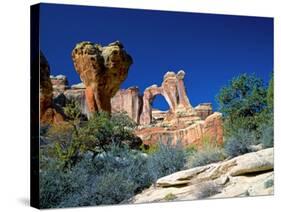 Angel Arch and the Molar in the Salt Creek Valley, Canyonlands National Park, Utah, USA-Bernard Friel-Stretched Canvas