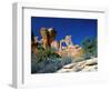 Angel Arch and the Molar in the Salt Creek Valley, Canyonlands National Park, Utah, USA-Bernard Friel-Framed Photographic Print