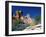 Angel Arch and the Molar in the Salt Creek Valley, Canyonlands National Park, Utah, USA-Bernard Friel-Framed Photographic Print