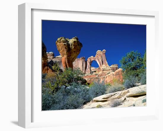 Angel Arch and the Molar in the Salt Creek Valley, Canyonlands National Park, Utah, USA-Bernard Friel-Framed Photographic Print