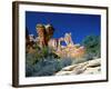 Angel Arch and the Molar in the Salt Creek Valley, Canyonlands National Park, Utah, USA-Bernard Friel-Framed Photographic Print