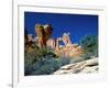 Angel Arch and the Molar in the Salt Creek Valley, Canyonlands National Park, Utah, USA-Bernard Friel-Framed Photographic Print