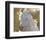 Angel Baby-Barry Hart-Framed Giclee Print