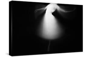 Angel Dance-null-Stretched Canvas