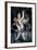Angel, Decoration in Franciscan Church-null-Framed Giclee Print