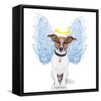 Angel Dog Feather Wings Aura Nimbus-Javier Brosch-Framed Stretched Canvas