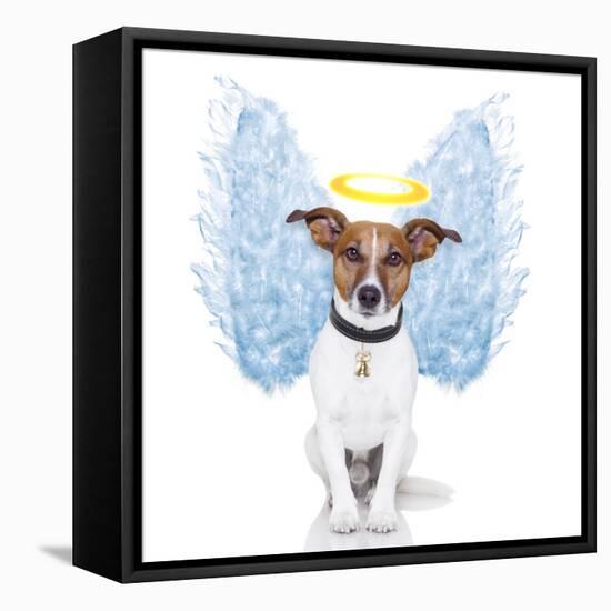 Angel Dog Feather Wings Aura Nimbus-Javier Brosch-Framed Stretched Canvas