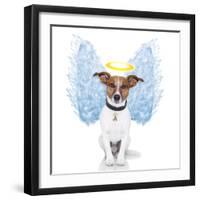 Angel Dog Feather Wings Aura Nimbus-Javier Brosch-Framed Premium Photographic Print