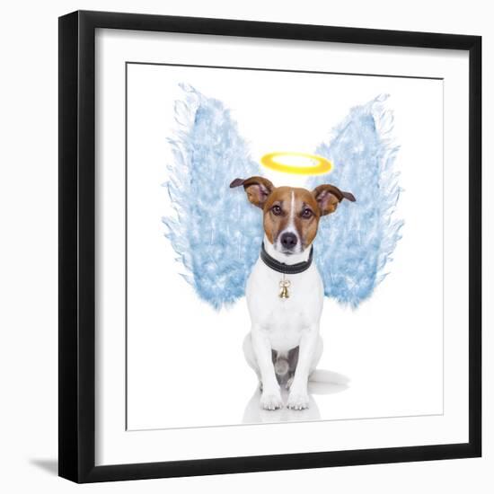 Angel Dog Feather Wings Aura Nimbus-Javier Brosch-Framed Premium Photographic Print
