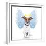 Angel Dog Feather Wings Aura Nimbus-Javier Brosch-Framed Premium Photographic Print