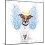 Angel Dog Feather Wings Aura Nimbus-Javier Brosch-Mounted Premium Photographic Print