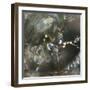 Angel Drops III-Gillian Hunt-Framed Photographic Print