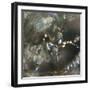 Angel Drops III-Gillian Hunt-Framed Photographic Print