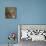 Angel Drops IV-Gillian Hunt-Photographic Print displayed on a wall
