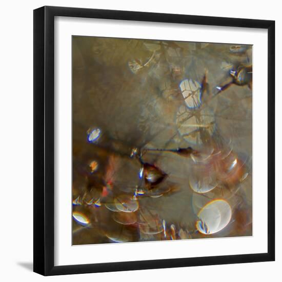 Angel Drops IV-Gillian Hunt-Framed Photographic Print