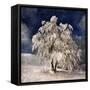 Angel Dust-Philippe Sainte-Laudy-Framed Stretched Canvas