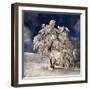 Angel Dust-Philippe Sainte-Laudy-Framed Photographic Print