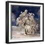 Angel Dust-Philippe Sainte-Laudy-Framed Photographic Print