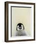 Angel Face-Art Wolfe-Framed Photographic Print