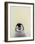 Angel Face-Art Wolfe-Framed Photographic Print