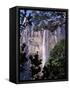 Angel Falls, Canaima National Park, Unesco World Heritage Site, Venezuela, South America-Charles Bowman-Framed Stretched Canvas