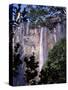 Angel Falls, Canaima National Park, Unesco World Heritage Site, Venezuela, South America-Charles Bowman-Stretched Canvas