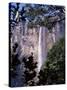 Angel Falls, Canaima National Park, Unesco World Heritage Site, Venezuela, South America-Charles Bowman-Stretched Canvas