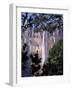 Angel Falls, Canaima National Park, Unesco World Heritage Site, Venezuela, South America-Charles Bowman-Framed Photographic Print