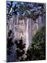 Angel Falls, Canaima National Park, Unesco World Heritage Site, Venezuela, South America-Charles Bowman-Mounted Photographic Print