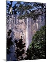 Angel Falls, Canaima National Park, Unesco World Heritage Site, Venezuela, South America-Charles Bowman-Mounted Photographic Print